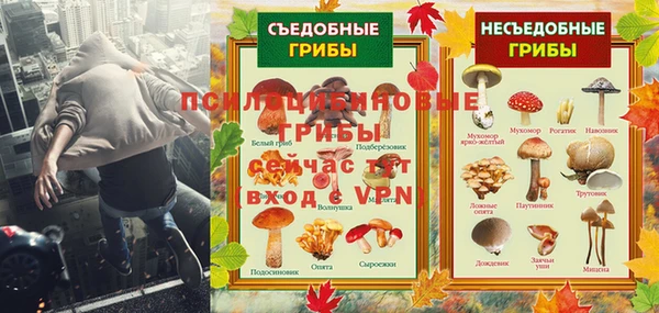 герыч Алексин