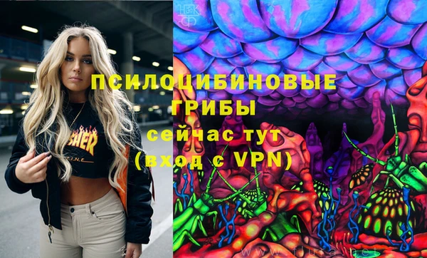 герыч Алексин