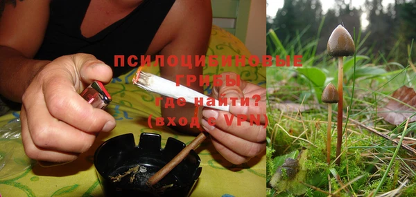 spice Алзамай