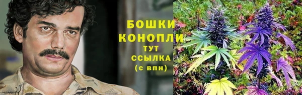 spice Алзамай
